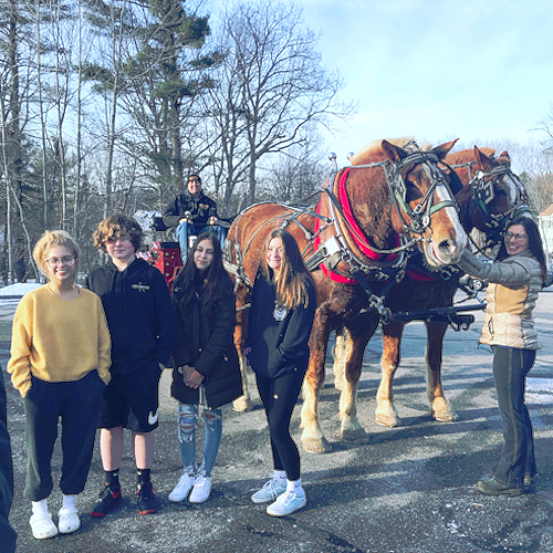 Horse Drawn Rides Salem New Hampshire