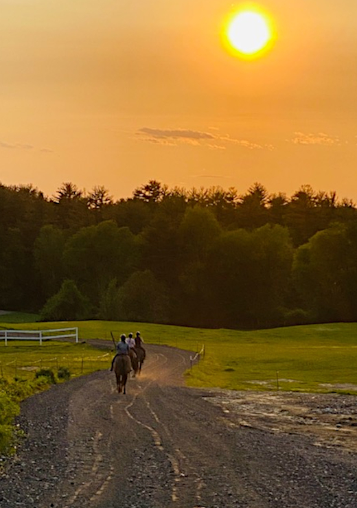Horse Riding Lessons NH